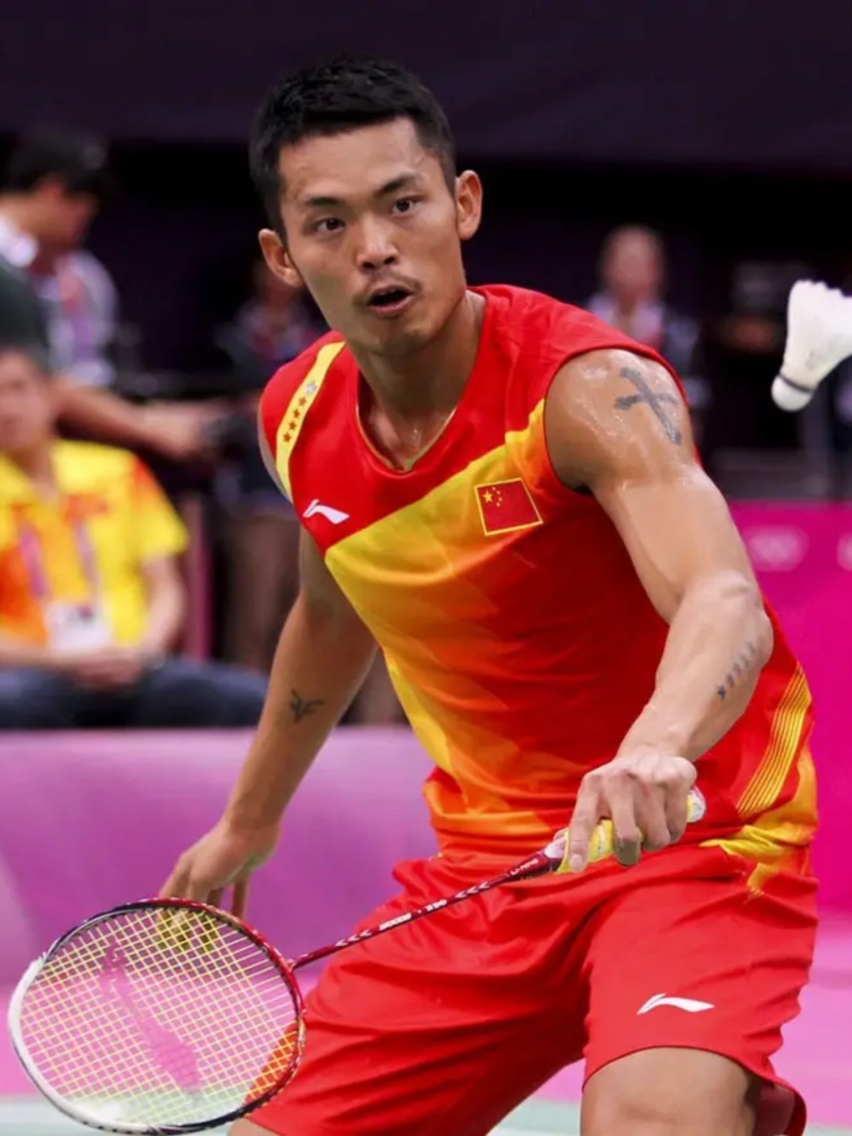 形成了鲜明 形成了鲜明