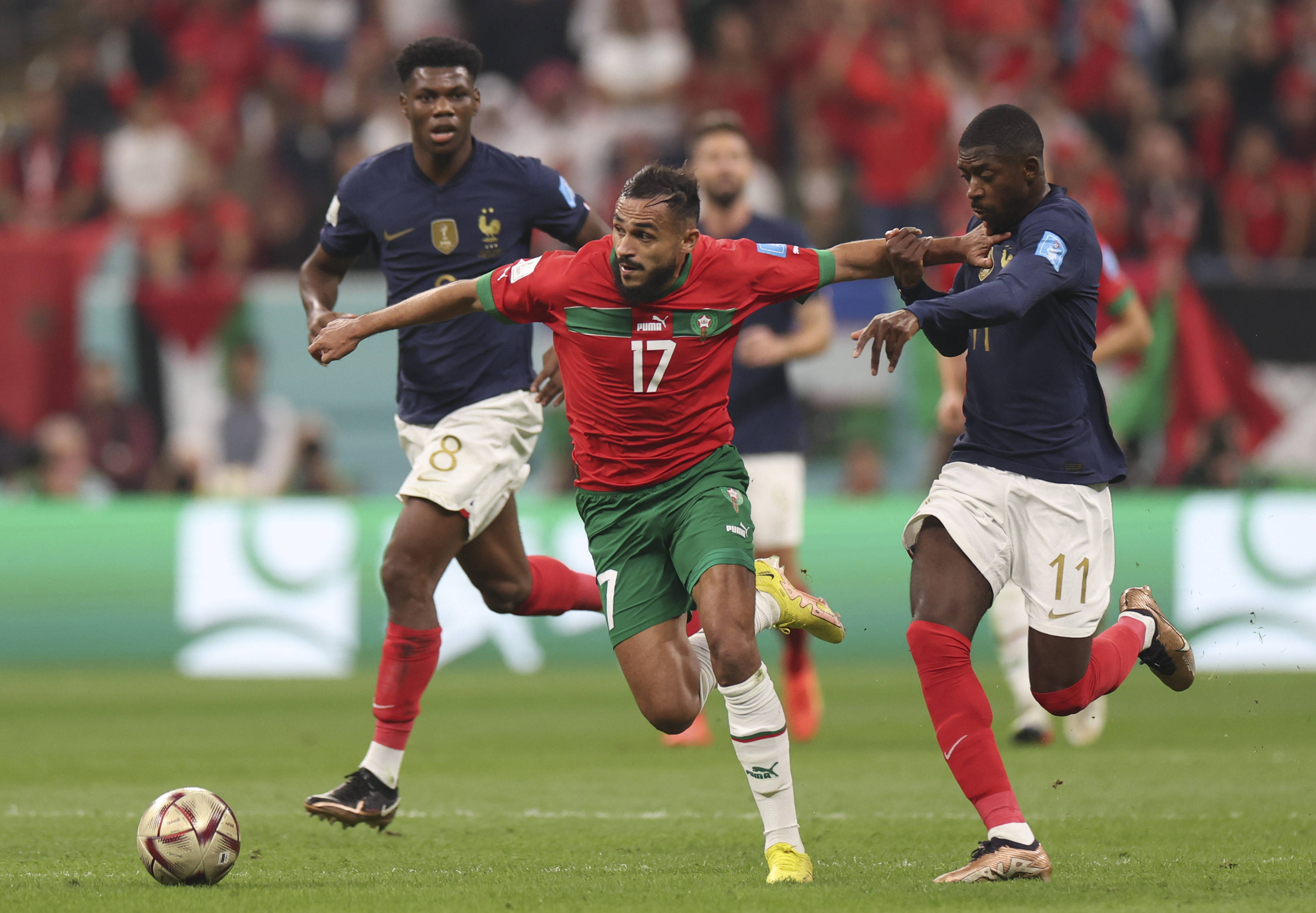 中国男子篮 中国男子篮