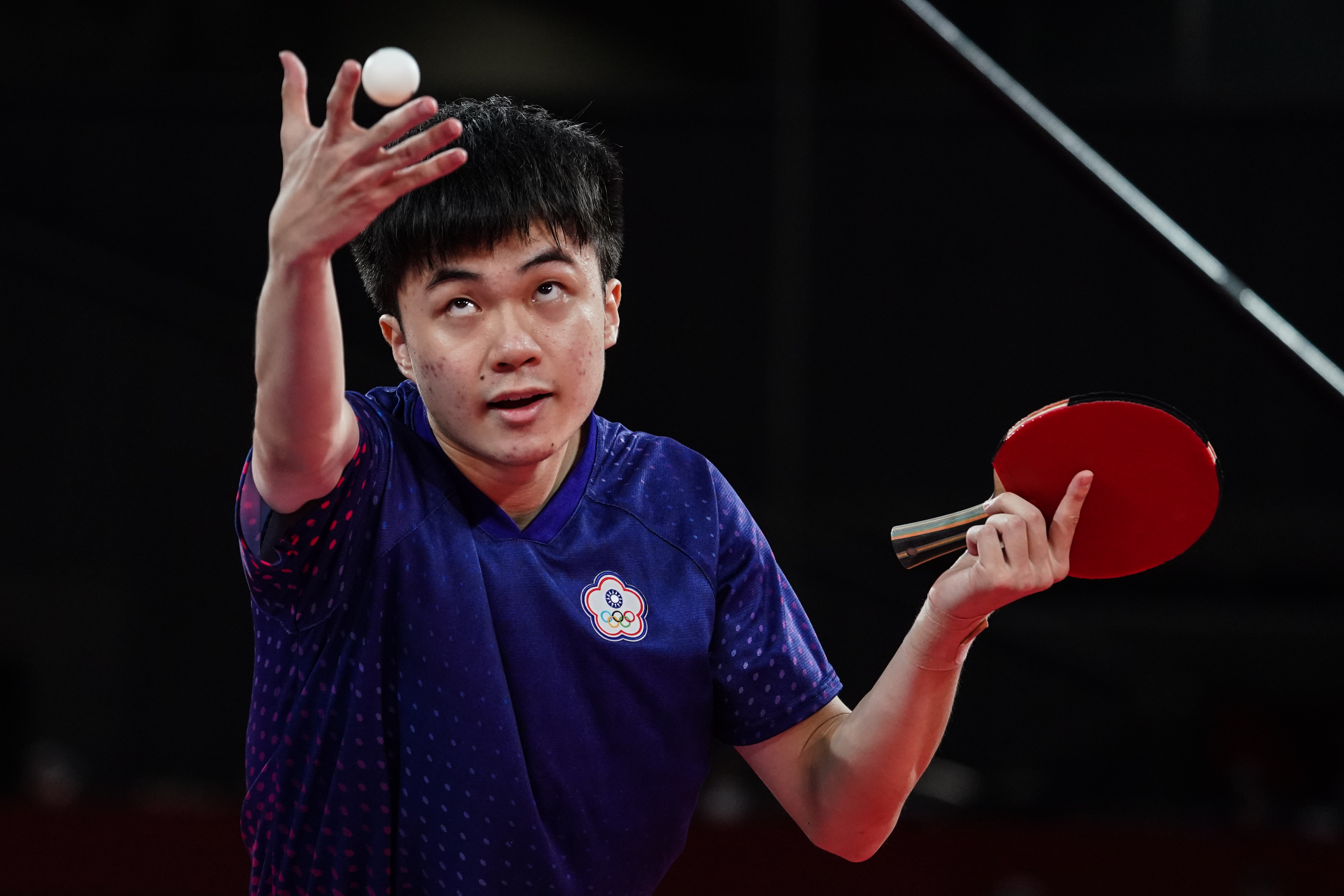 森林狼的整 森林狼的整